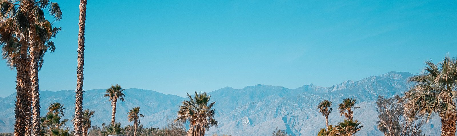 Pure Luxe in Punta Mita